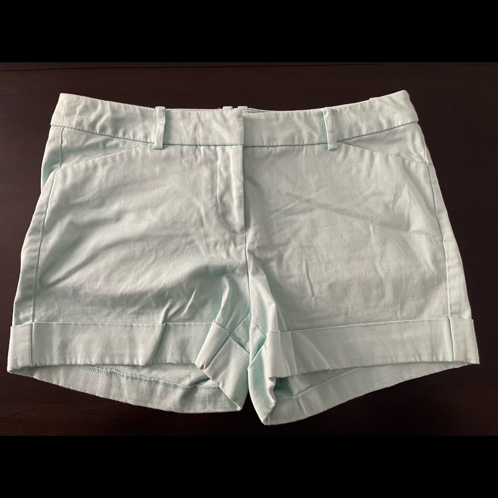 Mint Summer Shorts ☀️